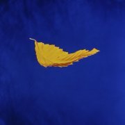 New Order - True Faith (2023 Digital Master) (1987) [Hi-Res]