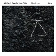 Wolfert Brederode Trio - Black Ice (2016) [Hi-Res]