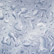Anysia Kym & Tony Seltzer - Purity (Flips) (2026)