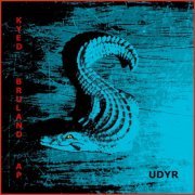 Steen Kyed Trio - UDYR (2022) Hi-Res