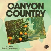 VA - Canyon Country - LA Fires Benefit Compilation (2025)