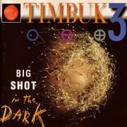 Timbuk 3 - Big Shot In The Dark (1991)