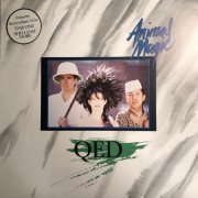 Qed - Animal Magic (1984)