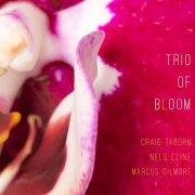 Trio of Bloom - Trio of Bloom (2025) [Hi-Res]
