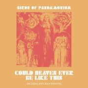 Birds Of Pandæmonium - Could Heaven Ever Be Like This (2026)