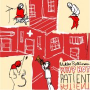 Mikko Pettinen Why Not - Patient Patient (2025) [Hi-Res]