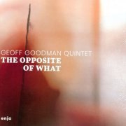 Geoff Goodman - The Opposite of What (2019)