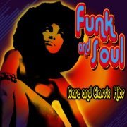 VA - Funk & Soul - Rare & Classic Hits (2011) flac