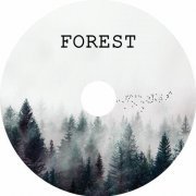 Alessandro Cerri - Forest (2019)