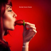 VA - Relaxing Chillout Session (2026)