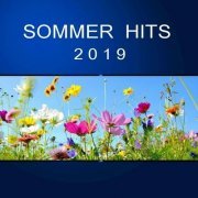 VA - Sommer Hits 2019 (2019)