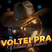 VA - Voltei pra Vidinha de balada (2024)