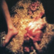 Fen - Surgical Transfusion of Molting Sensory Reflections (2000)