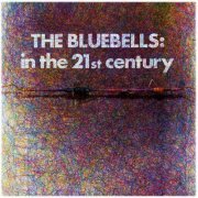 The Bluebells - In the 21st Century (2023) [Hi-Res]