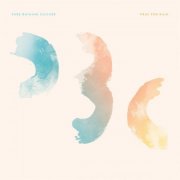 Pure Bathing Culture - Pray For Rain (2015)