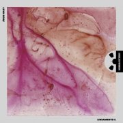 Ákos Nagy - Lineaments II (2025) [Hi-Res]