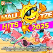 VA - Mallotze Hits 2025 (2025) Hi-Res