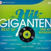 VA - Die Hit Giganten: Best Of One Hit Wonder [3CD] (2013)