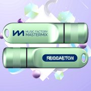 VA - Mastermix USB Reggae: Reggaeton (2024)