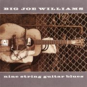 Big Joe Williams - Nine String Guitar Blues (1990)