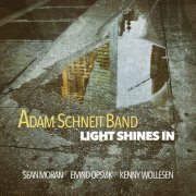 Adam Schneit Band - Light Shines In (2016)