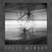 Split Memory, Precenphix & Gaze Into The Void - Split Memory (2022)