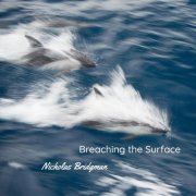 Nicholas Bridgman - Breaching the Surface (2025)