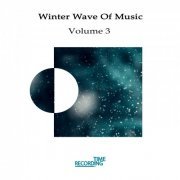 Various Artists - Winter Wave Of Music, Vol. 3 (2019) FLAC