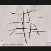 DVS - Bones (2013)