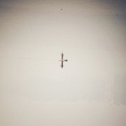 Qasim Naqvi - Endling (2025) [Hi-Res]