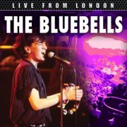 The Bluebells - Live From London (2024)