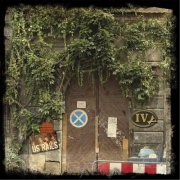 US Rails - Ivy (2016)