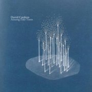 David Cordero - Among Pale Trees (2023)