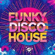 VA - Funky Disco House (2026)