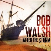 Bob Walsh - After the Storm (2015)