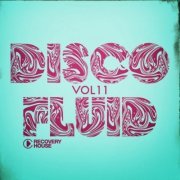 VA - Disco Fluid, Vol. 11 (2024)