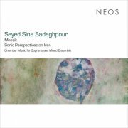 Gelareh Vazirizadeh - Seyed Sina Sadeghpour: Mosaik (2022) [Hi-Res]