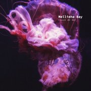 Mellieha Bay - Louve de mer (2026) Hi-Res