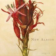 Andy Gordon - New Albion (2015)