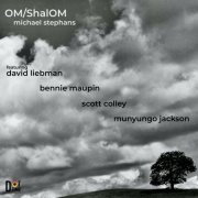 Michael Stephans - OM/ShalOM (2024)