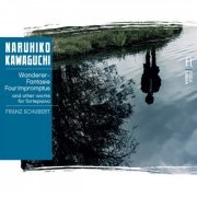 Naruhiko Kawaguchi - Schubert: Wanderer-Fantasie, Four Impromptus and Other Works for Fortepiano (2017) [Hi-Res]