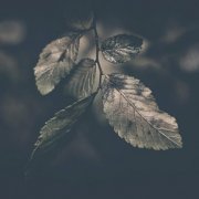 Bvdub - Farewell (2025) [Hi-Res]