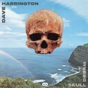 Dave Harrington - Skull Dream (2024) [Hi-Res]