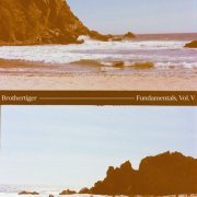 Brothertiger - Fundamentals, Vol V (2024)