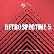 VA - Retrospective 5 (2022)