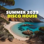 VA - Summer 2023 Disco House (2023)