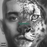 ZAYN - KONNAKOL (2026) [Hi-Res]