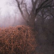 The Devil's Trade - Nincs Szennyezetlen Szép (2025) Hi-Res