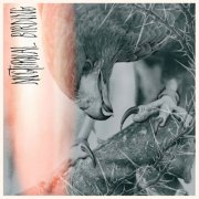 Author & Punisher - Nocturnal Birding (2025) Hi-Res