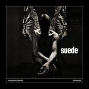 Suede - Antidepressants: Expanded (2026) [Hi-Res]